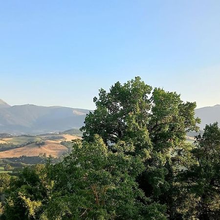 Pigno, Appartamento In Campagna Cagli Exteriör bild